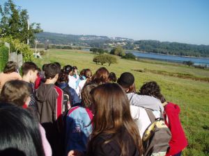 cecebre08_p.jpg