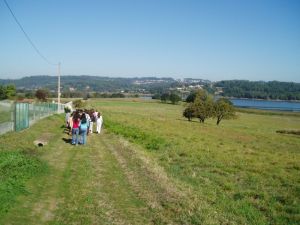 cecebre10_p.jpg