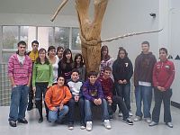 eso2a_p.jpg, 17kB