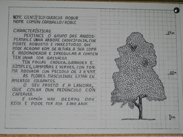 prox_inter_03_p.jpg
