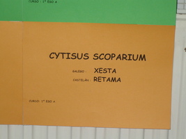 prox_inter_08_p.jpg
