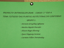 prox_inter_11_p.jpg