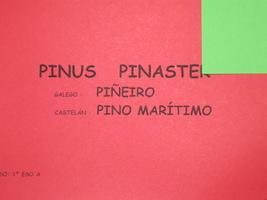 prox_inter_25_p.jpg