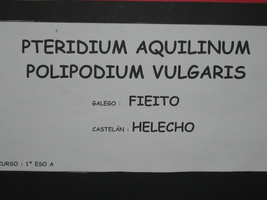 prox_inter_27_p.jpg