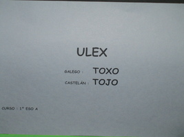 prox_inter_29_p.jpg