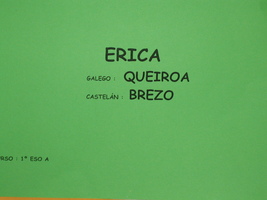 prox_inter_31_p.jpg