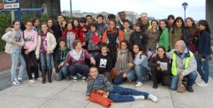 observacion de aves