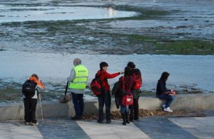 observacion de aves