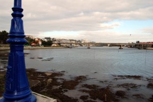 observacion de aves