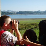 Observando aos alumnos desde o posto de observación de aves.