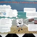 Cultivos Mariños [2º Bach]