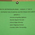 A Vexetación Autóctona de Oleiros