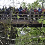 Ponte da Rastradeira