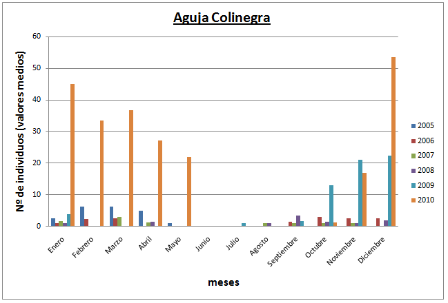 Aguja Colinegra