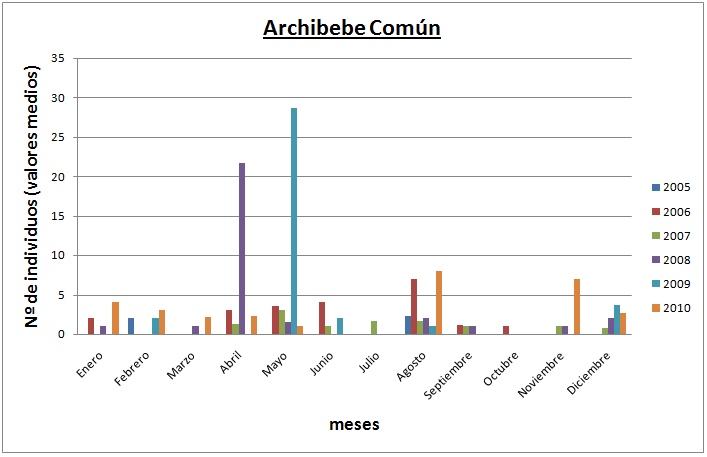 Archibebe Común