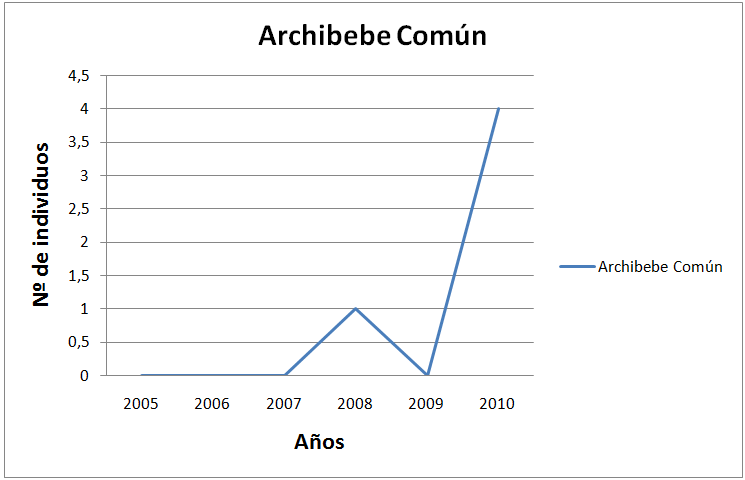 Archibebe Común