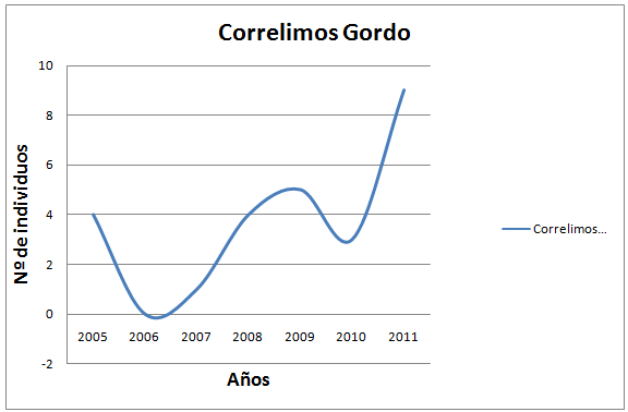 Correlimos Gordo