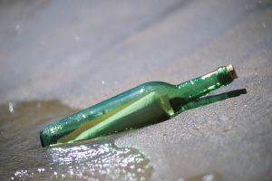 bottle.jpg